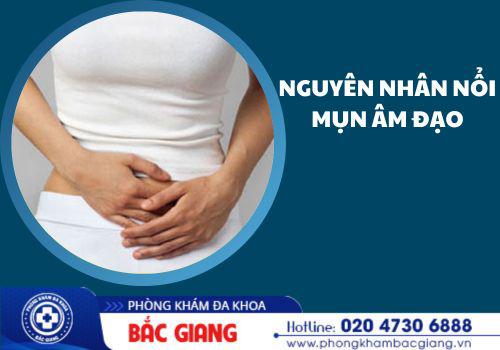 nổi mụn âm đạo