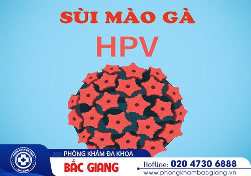Bệnh HPV là gì? Tổng hợp những thông tin quan trọng nhất