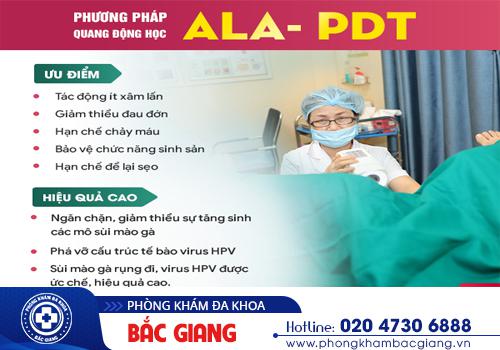 Bệnh HPV là gì? Tổng hợp những thông tin quan trọng nhất