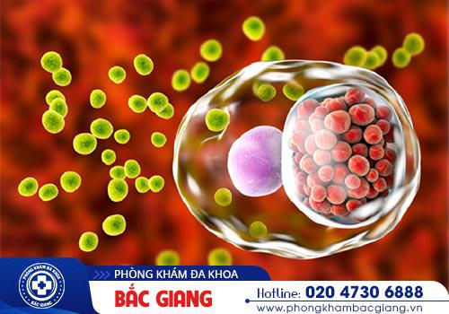 Cảnh báo nguy cơ Chlamydia gây vô sinh