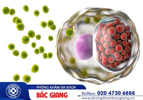 Hại khuẩn Chlamydia - Nguyên nhân gây bệnh nguy hiểm đến sức khỏe con người
