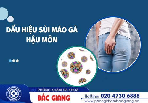 Những dấu hiệu sùi mào gà hậu môn điển hình. dấu hiệu sùi mào gà hậu môn