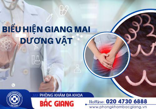 Những biểu hiện của giang mai dương vật là gì? giang mai dương vật