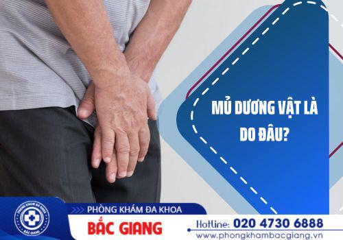 Hiện tượng mủ dương vật xảy ra do nhiều nguyên nhân bệnh lý khác nhau. mủ dương vật