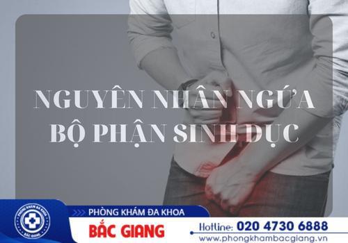 Ngứa bộ phận sinh dục xảy ra do nhiều nguyên nhân khác nhau. ngứa bộ phận sinh dục