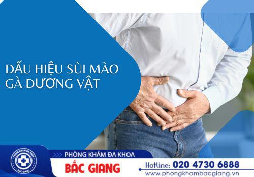 Những dấu hiệu sùi mào gà dương vật thường gặp. sùi mào gà dương vật