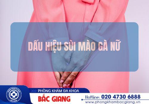 Những dấu hiệu điển hình của bệnh sùi mào gà nữ. sùi mào gà nữ