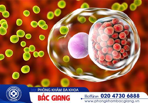Tổng hợp các thông tin cần biết về bệnh Chlamydia