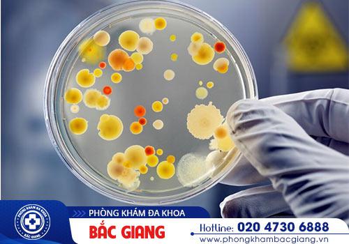 Cần xét nghiệm bệnh lậu để sớm phát hiện và hỗ trợ điều trị kịp thời